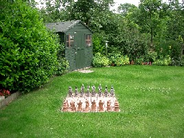 Back garden chess set