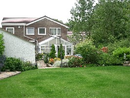 More of Trevor's back garden