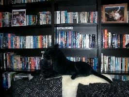 Some of Trevor's collection of books