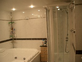 Trevor's steam shower